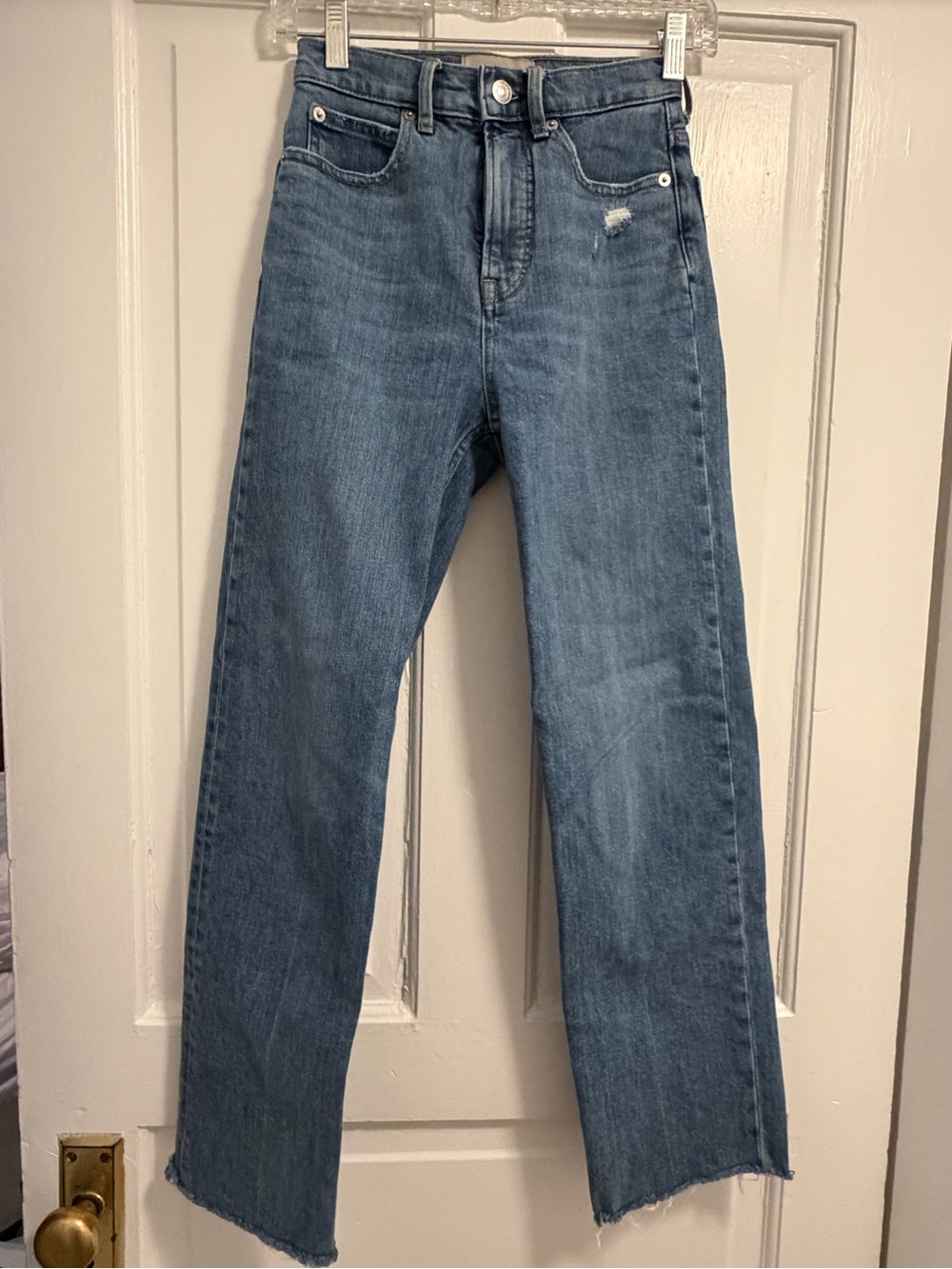 Everlane Way High Jean in Medium Blue Wash